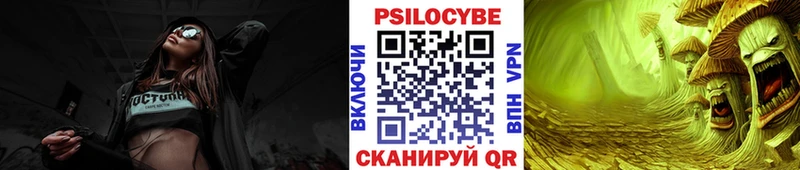 Купить  Гагарин  Галлюциногенные грибы Cubensis 